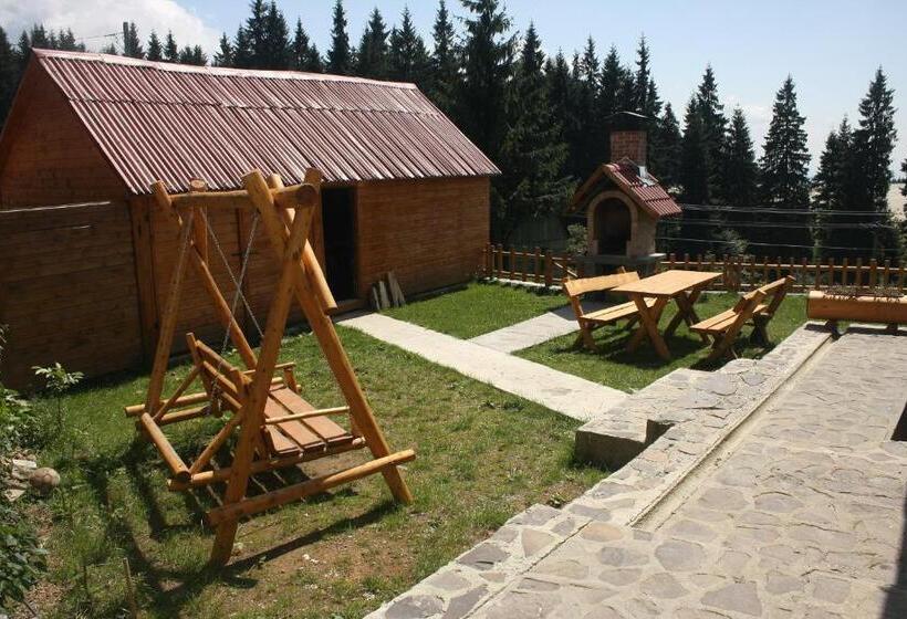 Pension Tofalvi