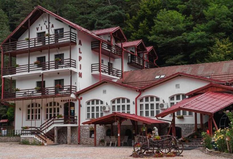 Pensiunea Alpin