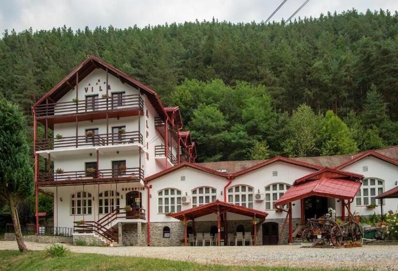 Pensiunea Alpin