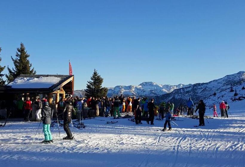Общежитие Berggasthof Schatzbergalm