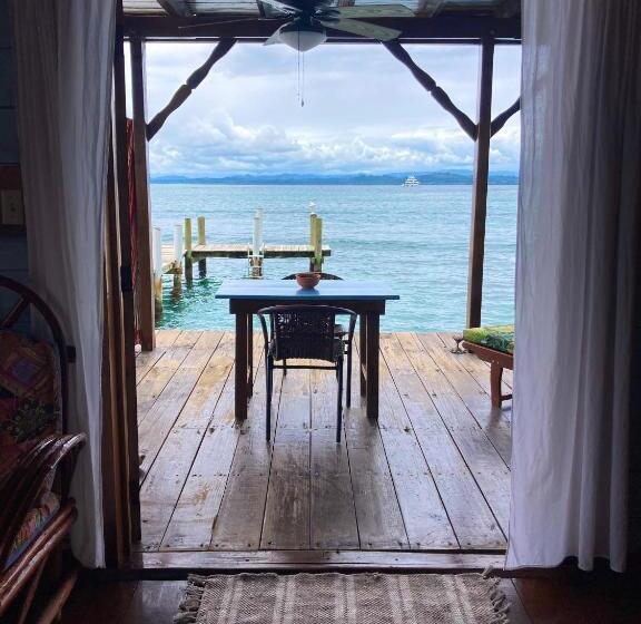 ユースホステル Casa Acuario Boutique