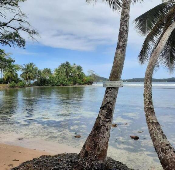 ユースホステル Casa Acuario Boutique