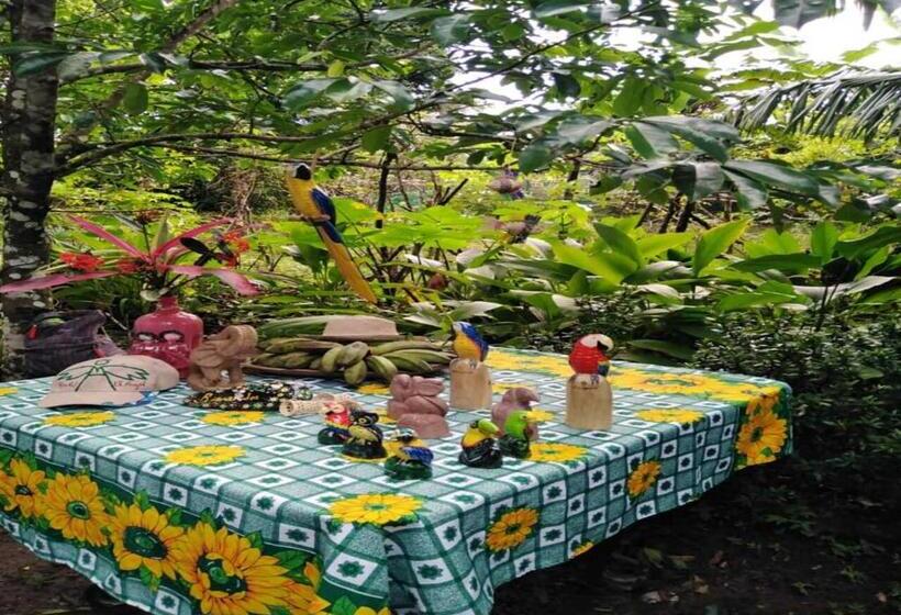 הוסטל Hostal Familiar El ángel Panamá B&b