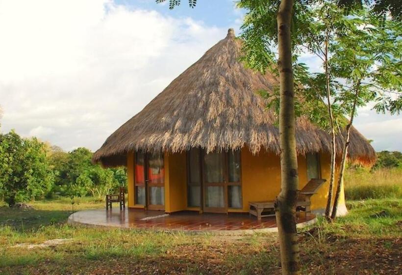 住宿加早餐  Oro Beach Houses