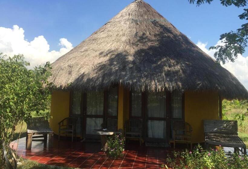 住宿加早餐  Oro Beach Houses