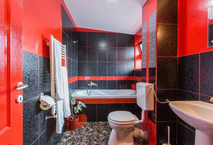 Bed and Breakfast Pensiunea Ana Vistisoara