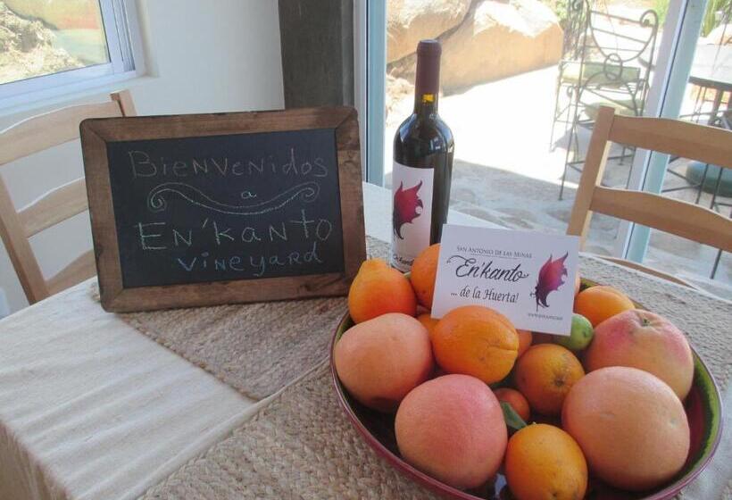 酒店 En Kanto Valle De Guadalupe