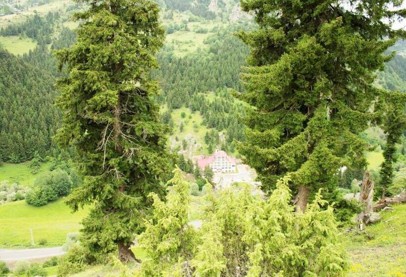 هتل Green Valley Savsat