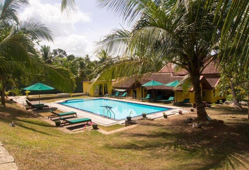 فندق Resort Like No Other