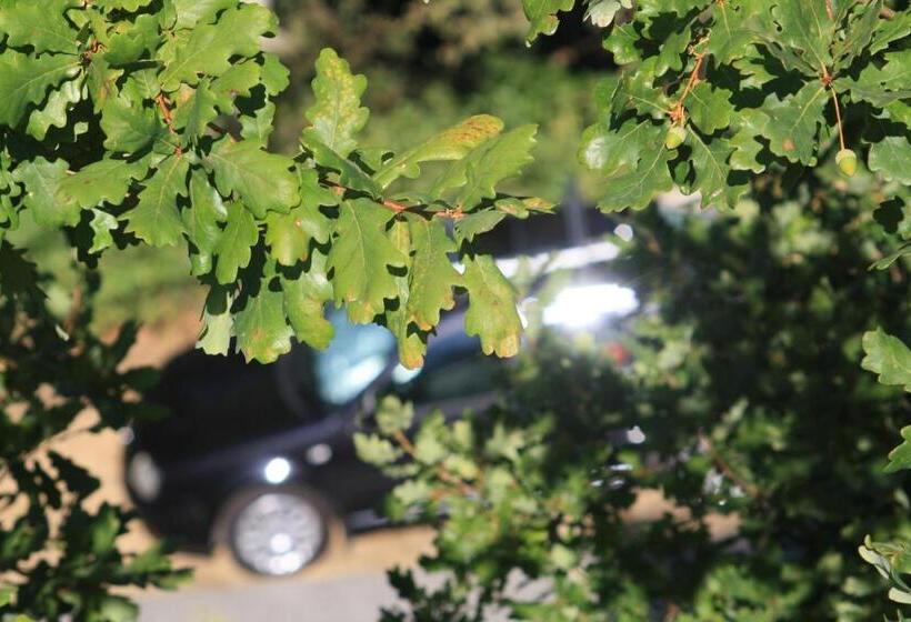 فندق Retiro Da Arminda