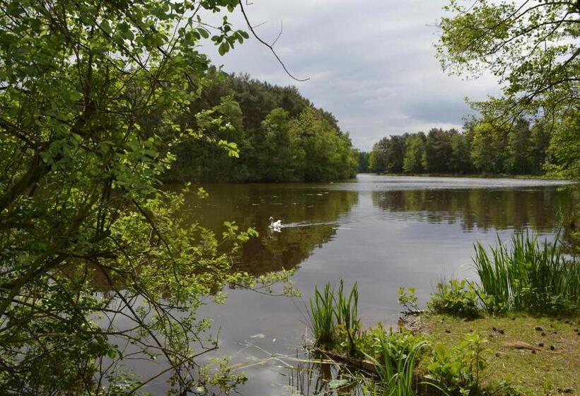 호텔 Vakantiepark Camping De Peelpoort