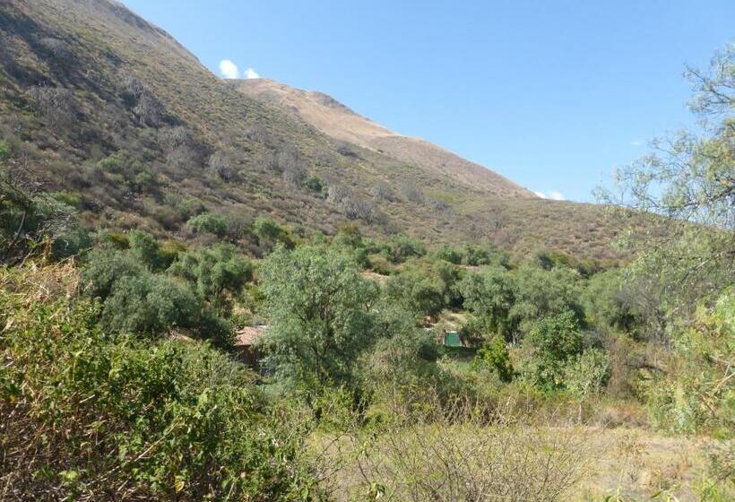 بنسيون Andean Spirit Lodge