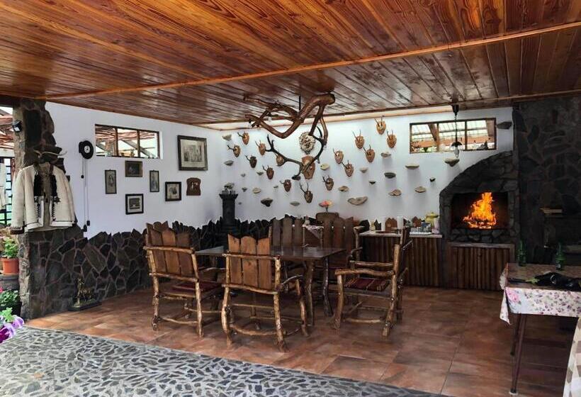 پانسیون Casa Vlad