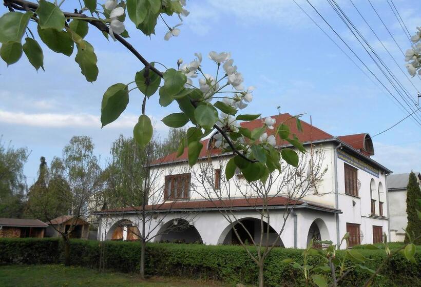 ペンション Guest House Marketti