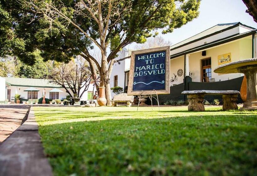 ペンション Marico Bosveld Guesthouse