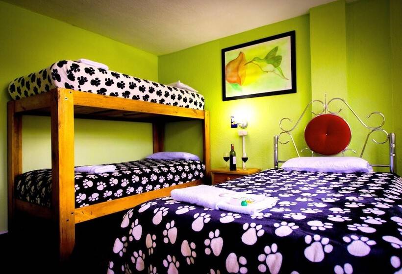 پانسیون Mirador Oro Verde Quilotoa