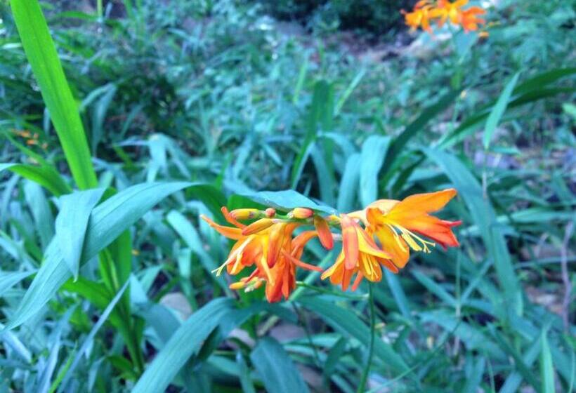 بنسيون Otsu Nature Garden