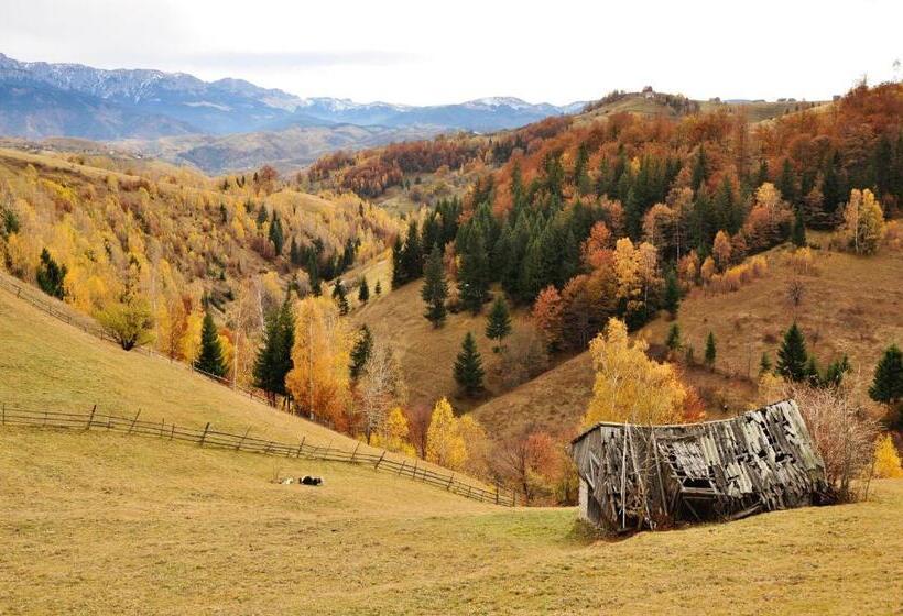 بنسيون Samedru