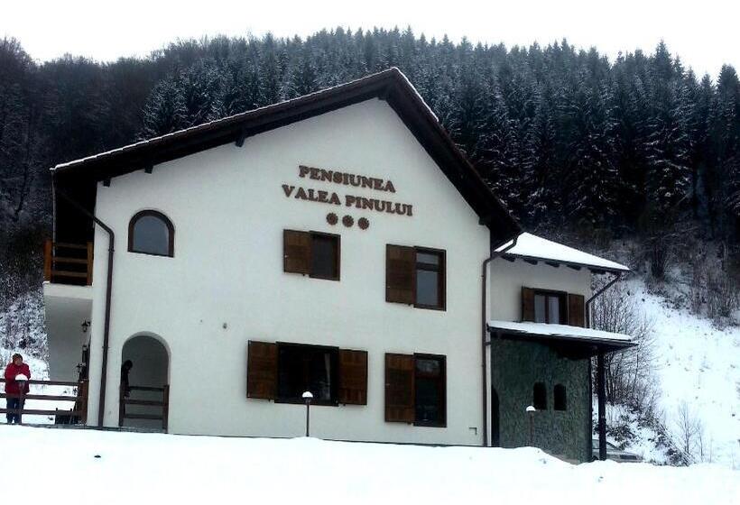 Pensiunea Valea Pinului