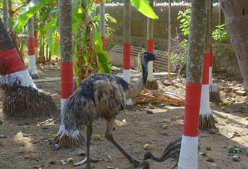 リゾートホテル Jogalekar Cottage Alibaug