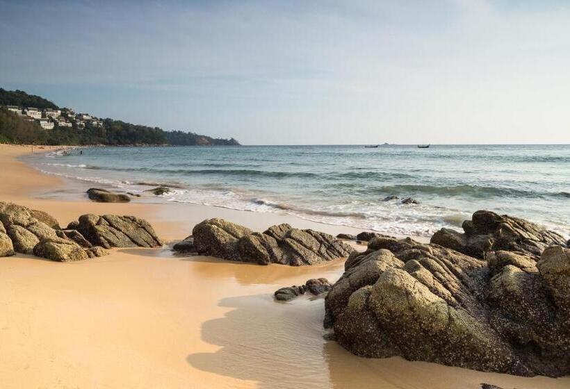 Курорт Thelifeco Wellbeing Phuket Detox Center And Vegan Hotel   Sha Plus
