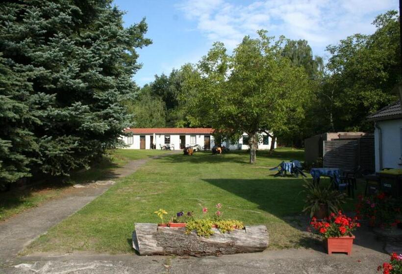 هتل Ferienparadies Waldidylle, Familiengeführt Seit 20 Jahren   Mit Großem Pool Und Viel Platz!
