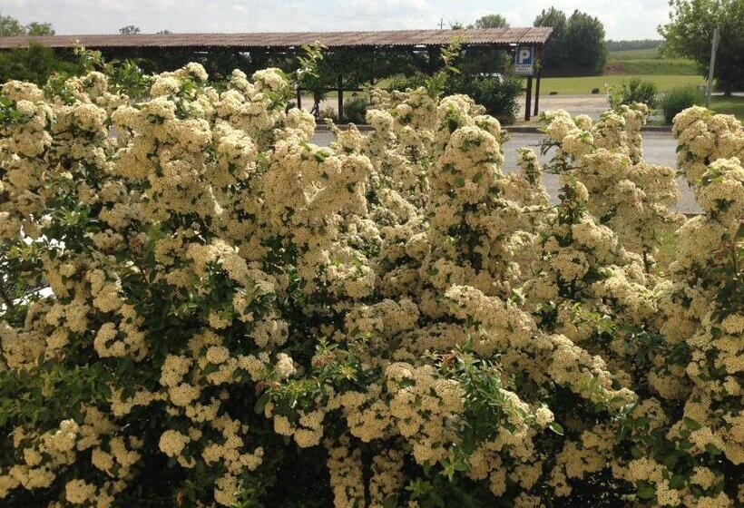 فندق Patyi étterem és