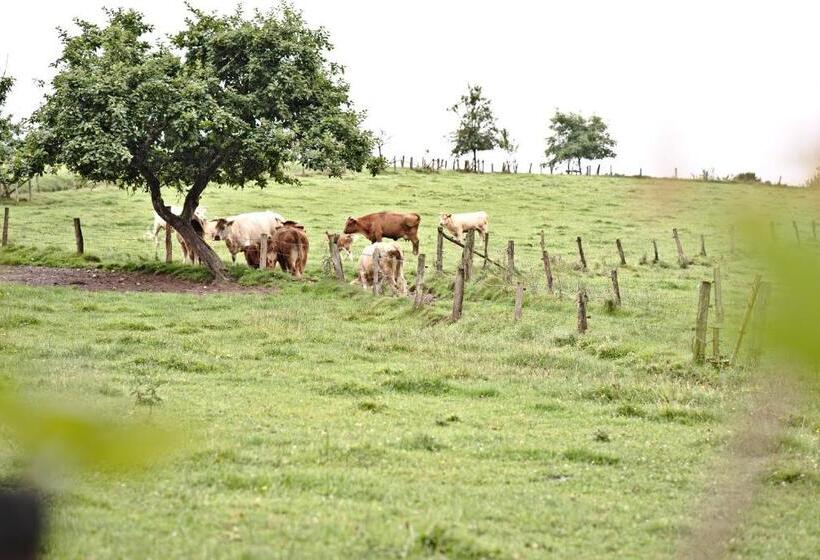 ホテル Restaurant Im Heisterholz