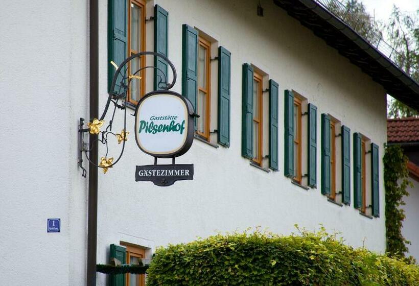 Пансион Landgasthof Pilsenhof Entenbraterei