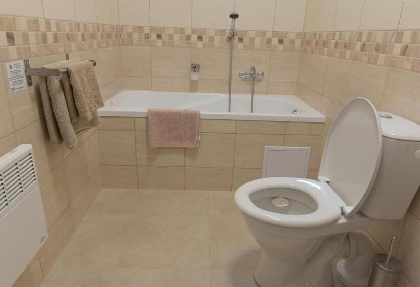 Пансион Penzion švýcarský Dům