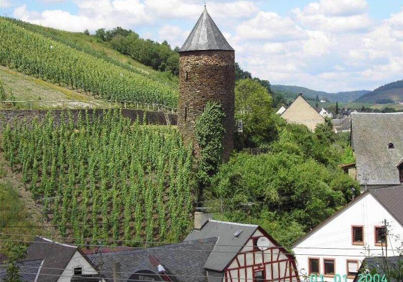 ペンション Weingut Gästehaus Karl Otto Nalbach