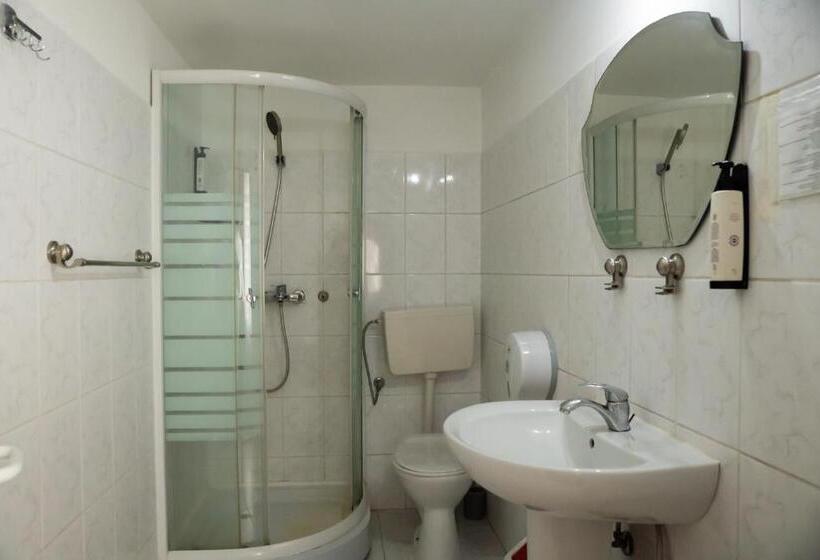 Pensiunea Lido Moisei