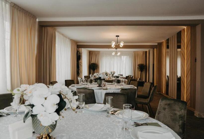 Pensiunea Lido Moisei