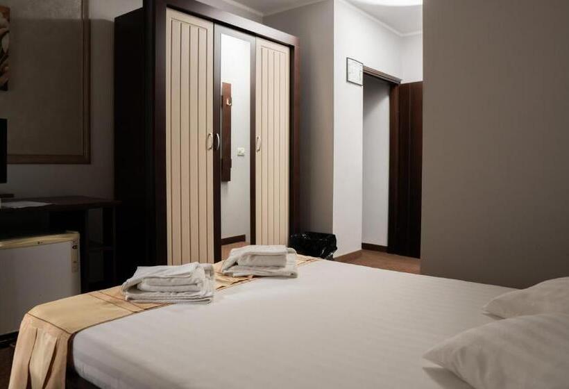 Pensiunea Lido Moisei