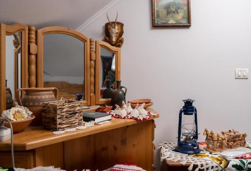 Pensiunea Lido Moisei