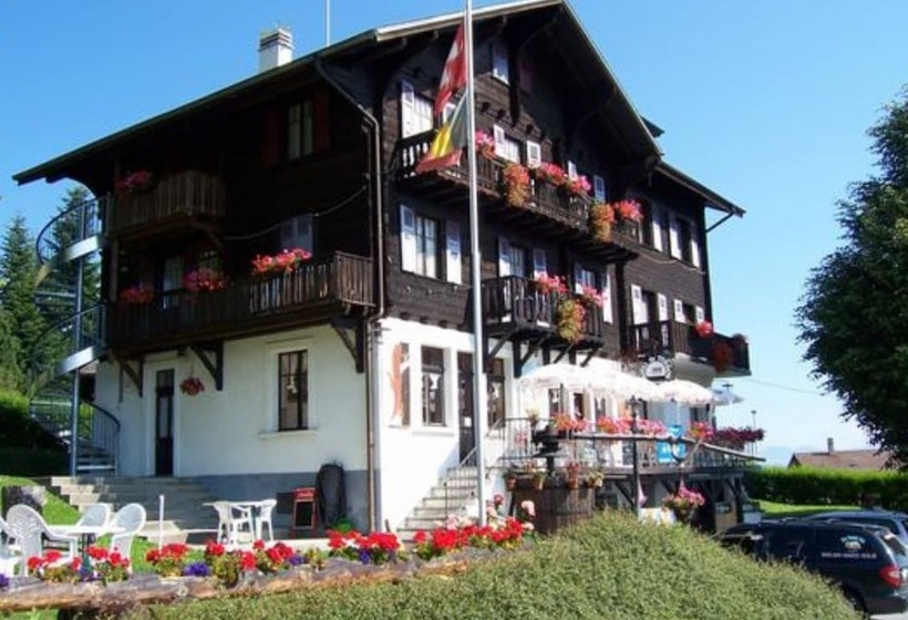 هاستل Hôtel De Torgon
