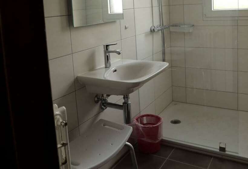 هاستل Hôtel De Torgon
