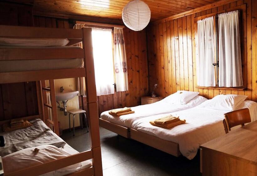هاستل Hôtel De Torgon