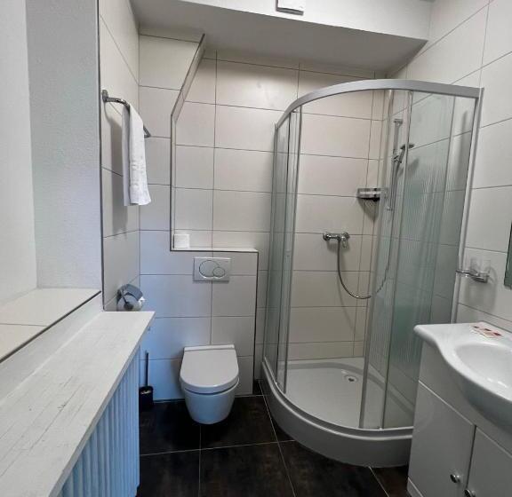 旅馆 Smartroom Hotel Rössli Hunzenschwil