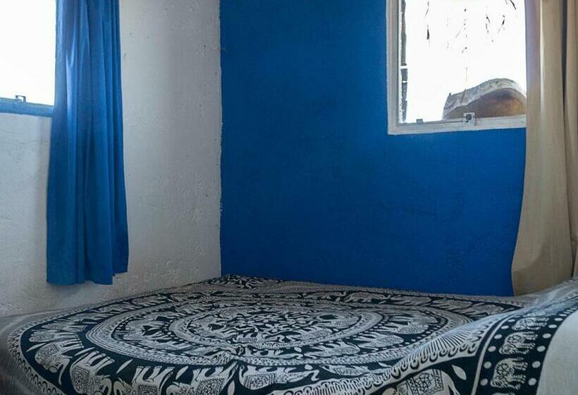 هاستل Viejo Lobo