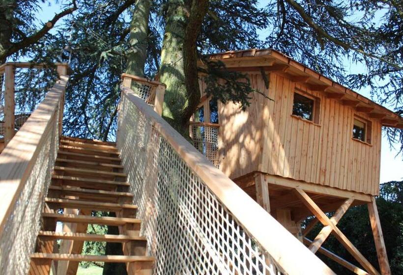 مبيت وإفطار Domaine Des Grands Cèdres