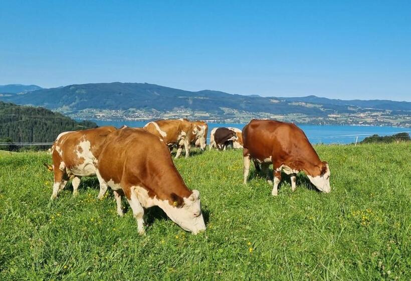 Bed and Breakfast Ferienwohnungen Schöbringer