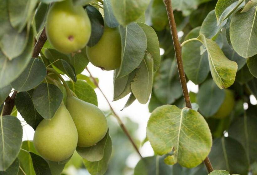 בית מלון כפרי Agunì Agriturismo E Locanda
