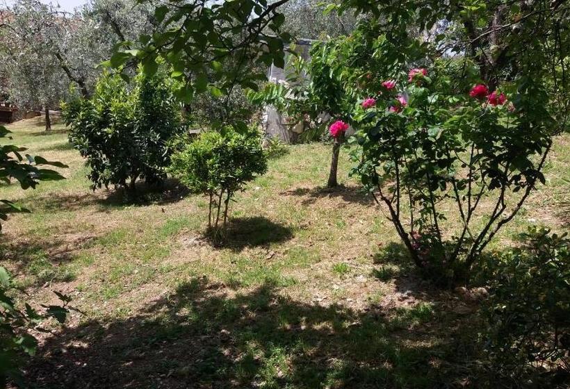 فندق B&b L Uliveto