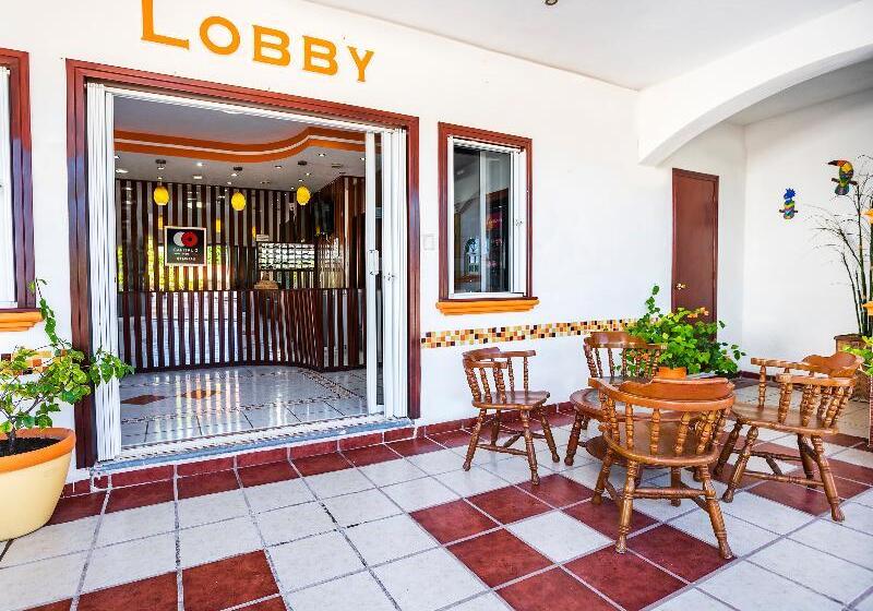 هتل Capital O Oxtankah,chetumal Bay