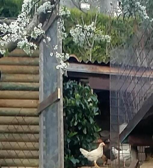 膳宿费 Agriturismo San Giovanni Ad Insulam