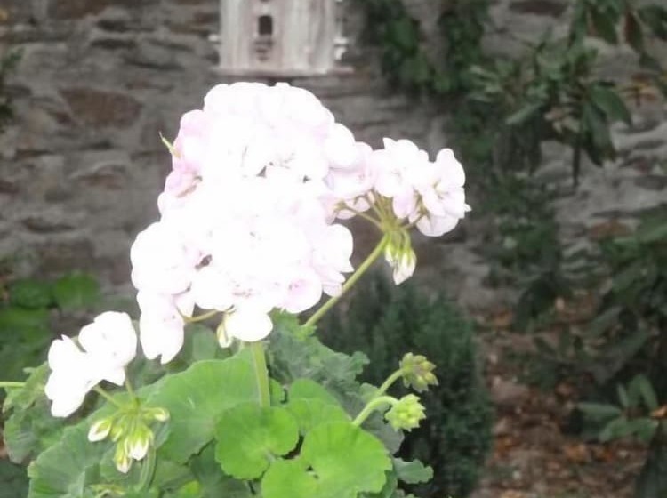 פנסיון Château Bily B&b Hôtel
