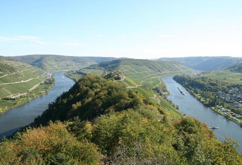 ペンション Ferienweingut Hensler