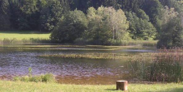 بنسيون Gasthof Ferm
