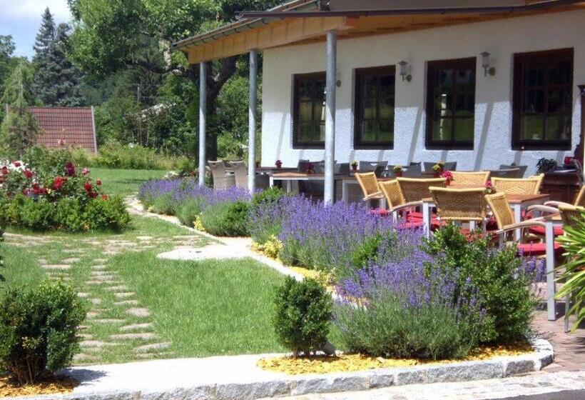 بنسيون Gasthof Ferm